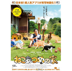 『ねこあつめの家』 キャット版ポスター(C)「映画ねこあつめ」製作委員会