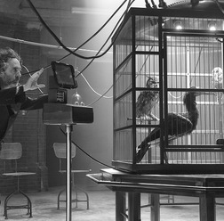 ティム・バートン監督/『ミス・ぺレグリンと奇妙なこどもたち』 (C)2016 Twentieth Century Fox