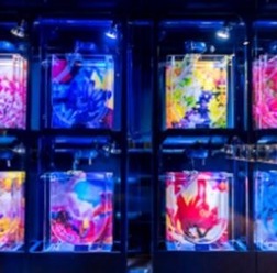 すみだ水族館「ふわきゅん、クラゲまつり」開催
