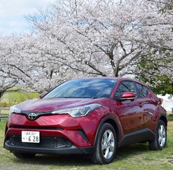 トヨタ C-HR S-T。桜の咲く栃木・渡良瀬遊水地にて。