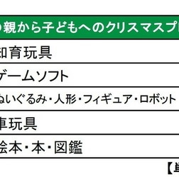 親から子どもへのクリスマスプレゼント(2015年)
