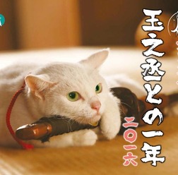 「猫侍カレンダー 玉之丞との一年二〇一六」 (C)2015「続・猫侍」製作委員会