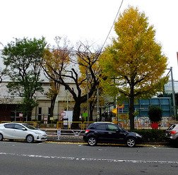 20代は「中古車志向」、音楽環境やロボットカーにも関心…中古車購入実態調査