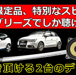 6月28日(日)にブリーズ(奈良県)にてBMW&Audiに装着したDLSスピーカー試聴会開催