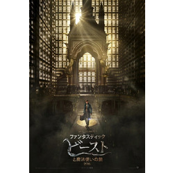 『ファンタスティック・ビーストと魔法使いの旅』（C）2015 WARNER BROS ENTERTAINMENT INC. ALL RIGHTS RESERVED