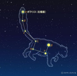 こぐま座(こぐま座流星群 2015) (参考:スタディスタイル学習館)