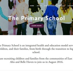 The Primary School