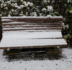 首都圏で積雪、学生の足を直撃…臨時休講で「詫び単位」や交通費要求（画像はイメージ）