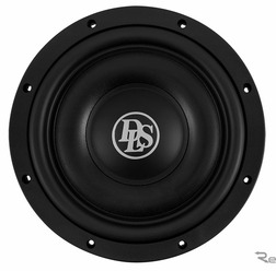 「2Ω、DVC」タイプの「ユニットサブウーファー」（DLS・RCS10.D2）。