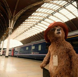 『パディントン』(C) 2014 STUDIOCANAL S.A. TF1 FILMS PRODUCTION S.A.S Paddington BearTM, PaddingtonTM AND PBTM are trademarks of Paddington and Company Limited