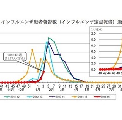東京都のインフルエンザ患者報告数