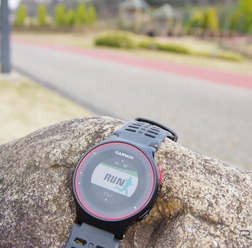 GARMIN ForeAthlete(フォアアスリート) 225J