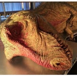 「世界初!ティラノサウルス大解剖・恐竜大発見展」