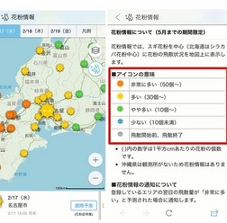 「花粉情報」と「アイコン」