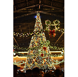クリスマスのディズニーランド