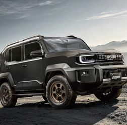 レイズ ボルクレーシング TE37 XT 30th(ブロンズアルマイト) × トヨタ ランドクルーザー FJ