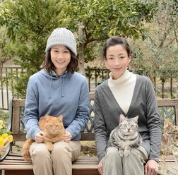 連続ドラマW「グーグーだって猫である2 -good good the fortune cat-」(C)WOWOW