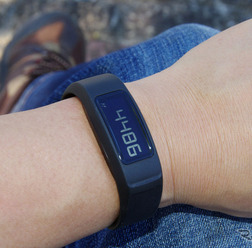 GARMIN vivofit2