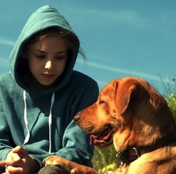 『ホワイト・ゴッド　少女と犬の狂詩曲』　2014（C）Proton Cinema, Pola Pandora, Chimney