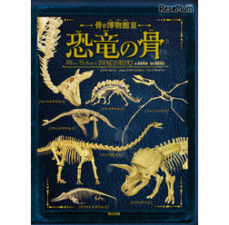 「骨の博物館」シリーズ第3弾「 恐竜の骨」
