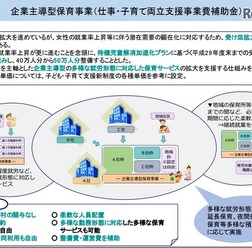 企業主導型保育事業