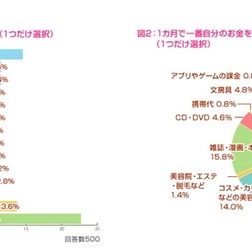 お小遣いの額について/1か月で一番自分のお金をかけるものについて