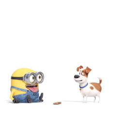 『ペット』×『ミニオンズ』 (C)Universal Studios.