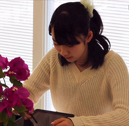おさらい先生での学習のようす