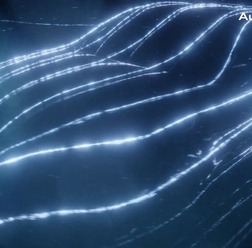 アウディ A5 クーペ 新型の予告イメージ