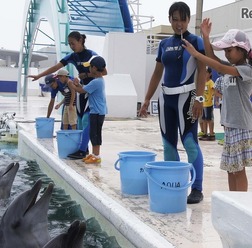 鴨川シーワールド「サマースクール」イルカとふれあい