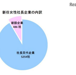 新任女性社長企業の内訳