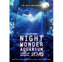 新江ノ島水族館にて開催の「ナイトワンダーアクアリウム 2016 ~月光に漂う水族館~」