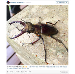 インスタグラムより