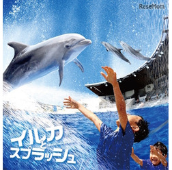 イルカとスプラッシュ!!