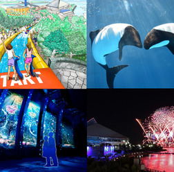 「横浜・八景島シーパラダイス」の夏休みスペシャルイベント「SUMMER DAY TRIP」