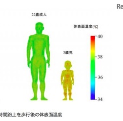 60分間路上を歩行後の体表面温度（成人男性と幼児）