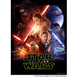 『スター・ウォーズ/フォースの覚醒』デジタル配信(C)2016 & TM Lucusfilm Ltd. All Rights Reserved.