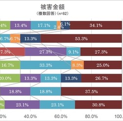 インターネット詐欺被害金額
