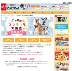 犬の名前ランキング