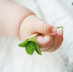 2016年赤ちゃんの名前ランキング、男の子は5年ぶりに「蓮」が1位に(画像はイメージ)