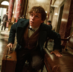 『ファンタスティック・ビーストと魔法使いの旅』(C) 2016 Warner Bros. Ent.  All Rights Reserved.  Harry Potter and Fantastic Beasts Publishing Rights (C) JKR.