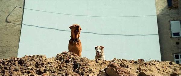 『ホワイト・ゴッド　少女と犬の狂詩曲』　2014（C）Proton Cinema, Pola Pandora, Chimney