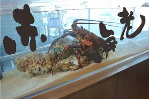 新春！もじもじ水槽