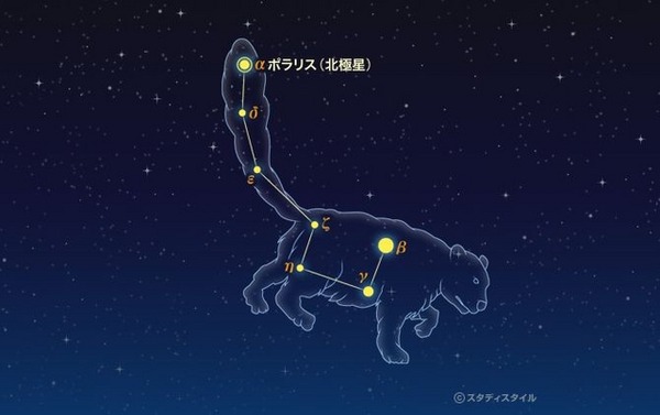 こぐま座（こぐま座流星群 2015）　（参考：スタディスタイル学習館）