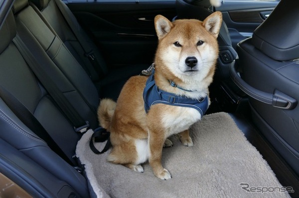 トヨタ・クラウン（セダン）