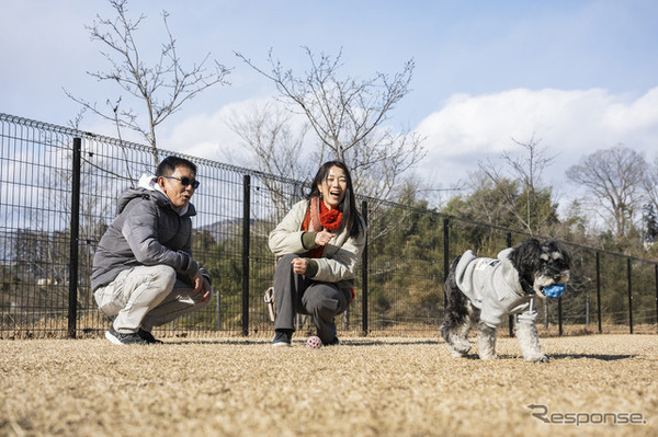 広大なドッグランで愛犬と楽しむ