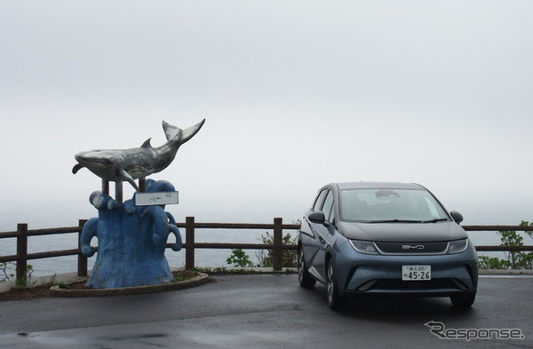 鹿児島・薩摩半島南部の辺境、野間岬にて。天気が悪く残念だったが穴場的絶景スポットである。