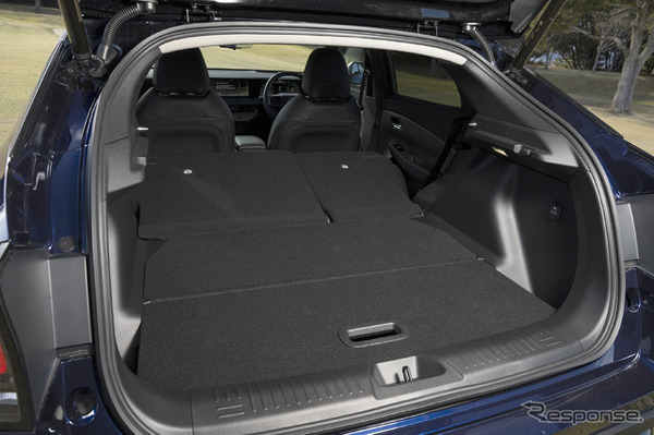 NISSAN LEAF AUTECH