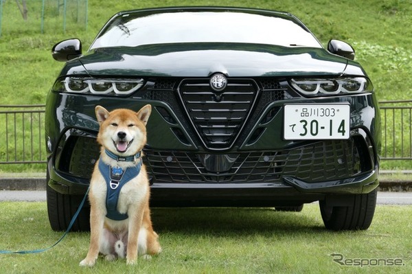 アルファロメオ トナーレ イブリダ ヴェローチェ
