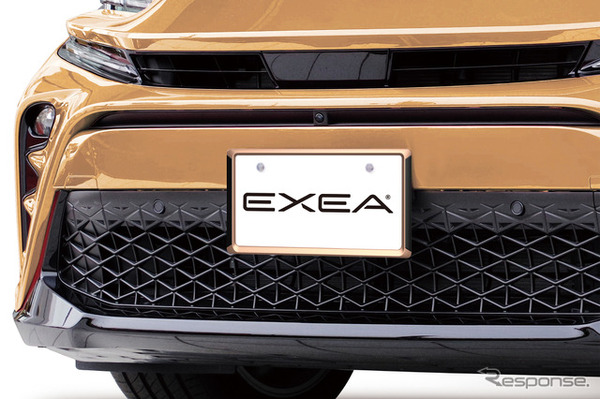 EXEA・アクセントフレームセット CP（カッパー色）（EX-221）